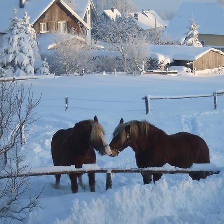 Venngasthof Zur Buche Monschau Dış mekan fotoğraf