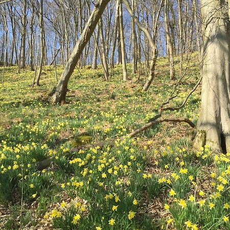 Venngasthof Zur Buche Monschau Dış mekan fotoğraf